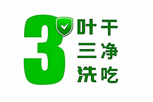 深圳叶三洗控股集团信息咨询服务解析 赋能企业决策与行业洞察
